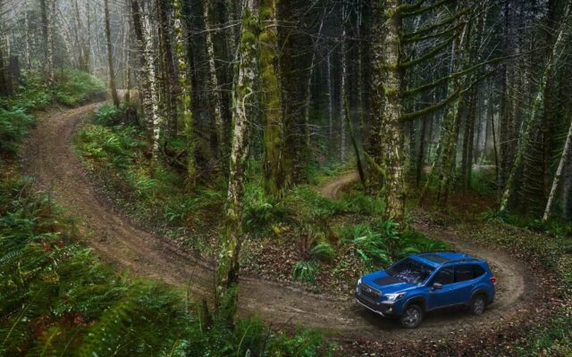2022 Subaru Forester Wilderness.